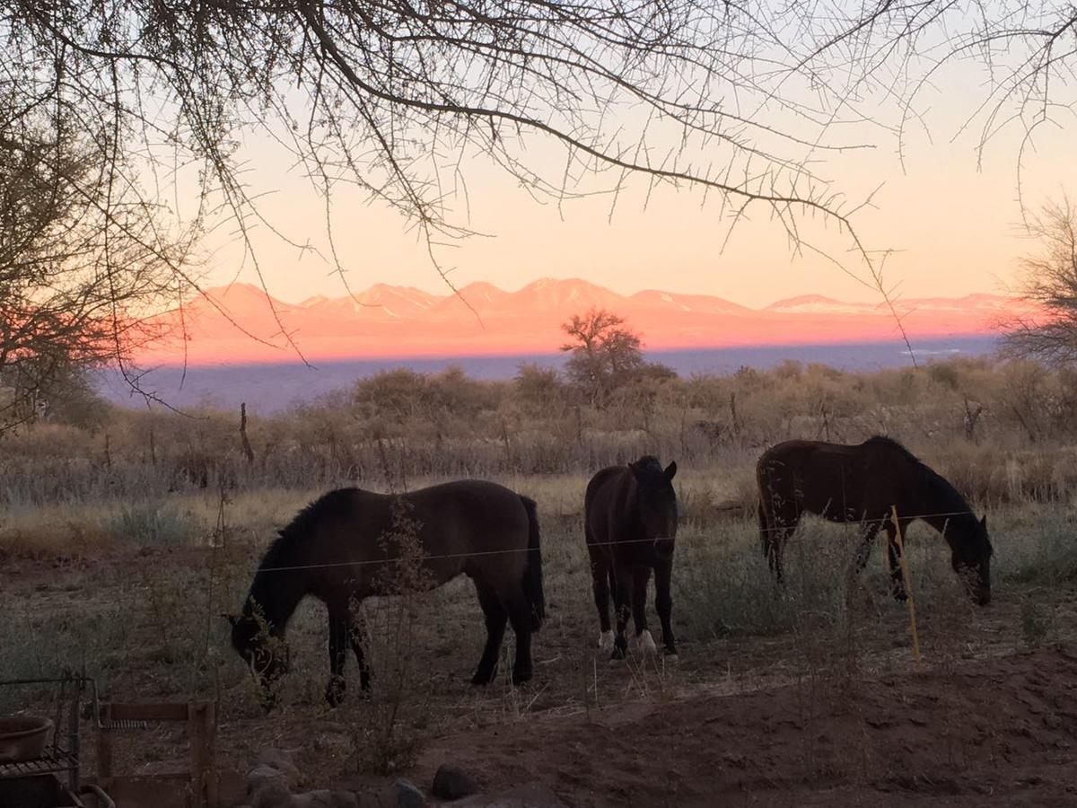 Andes Nomads Desert Camp & Lodge Сан-Педро-де-Атакама Экстерьер фото